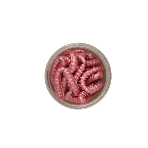 BERKLEY HONEY WORMS