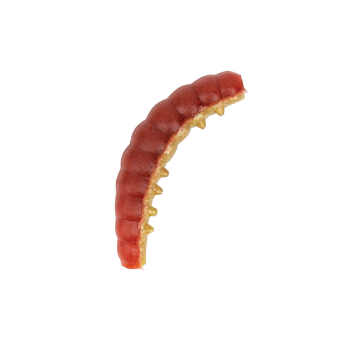 BERKLEY HONEY WORMS