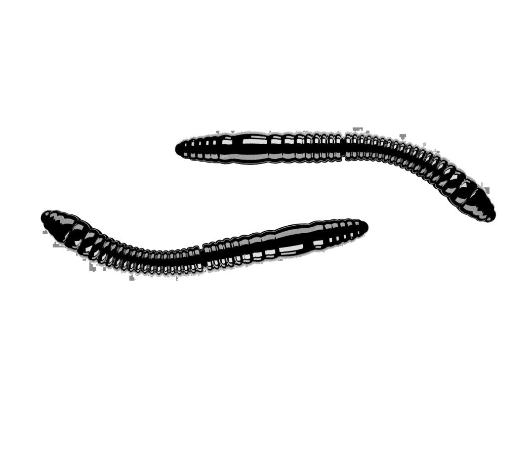 LIBRA LURES FATTY D`WORM TOURNAMENT 55 MM CHEESE