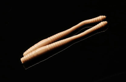 Libra Lures Dying Worm 70 mm Cheese